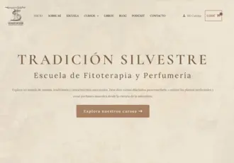 diseño web - escuela tradición silvestre